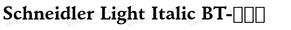 Schneidler Light Italic BT字体转换